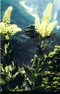 説明内容-9